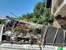 Best Demolition Debris Removal  in Hinsdale, IL